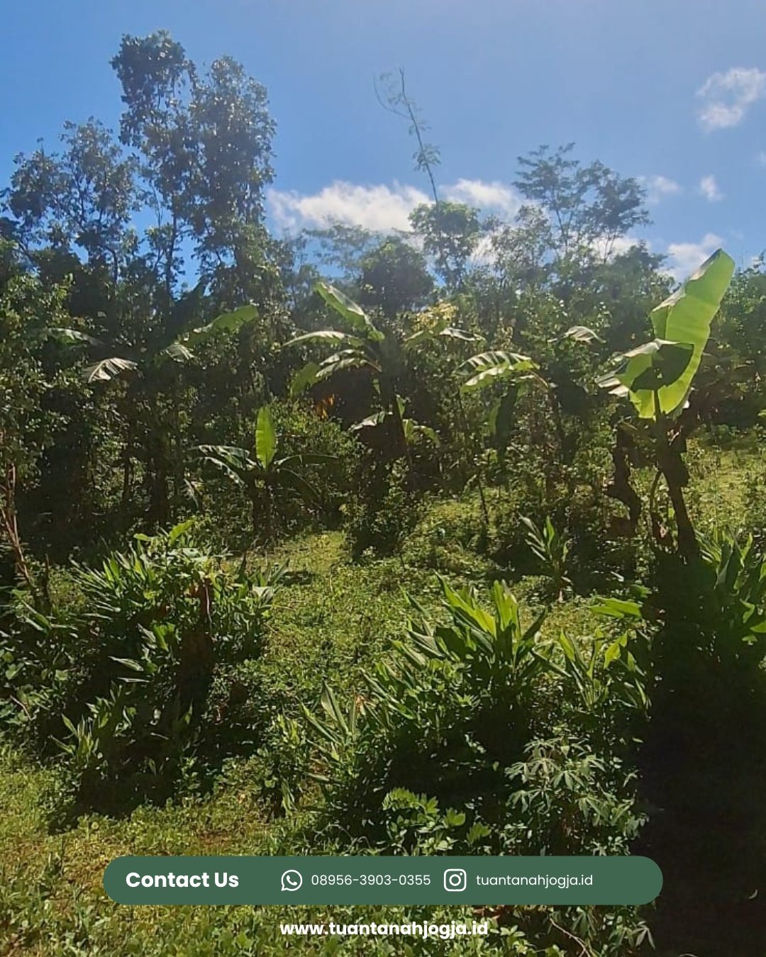 Tanah dijual Semoyo, Patuk, Gunung Kidul