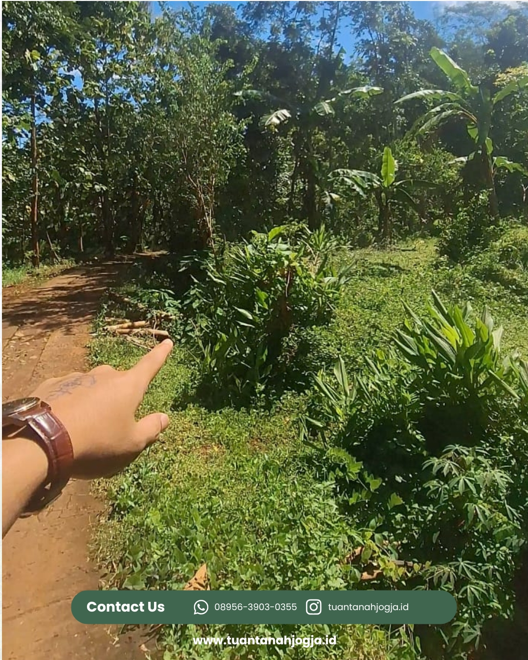 place photo 3